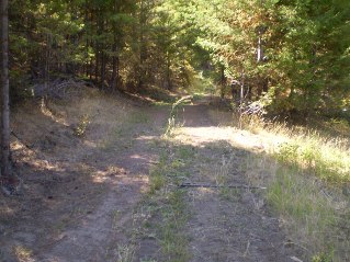 The grassy area ends at a road, turn right onto this road, Yellow Lake Trail 2014-09.